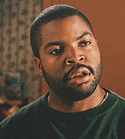 ice cube no GIF