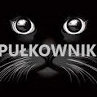 pulkownik99